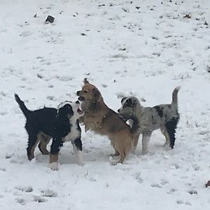 Meet your Posher, Christina